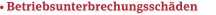 • Betriebsunterbrechungsschäden